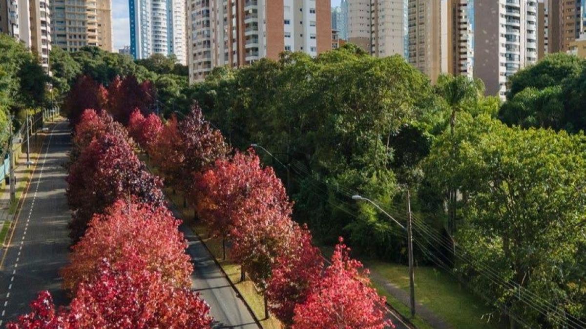 GARD | CONSTRUTORA ADRIÁTICA | MOSSUNGUE
